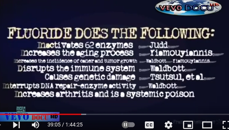 YOUTUBE Video search