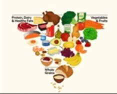 HHS Revises 'Food Pyramid' to Prioritize Protein. https://realfood.gov/