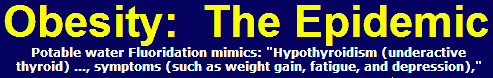 Fluoride Obesity connection.